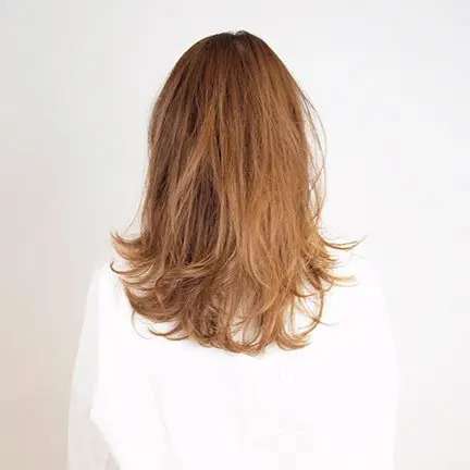 フォギーロング