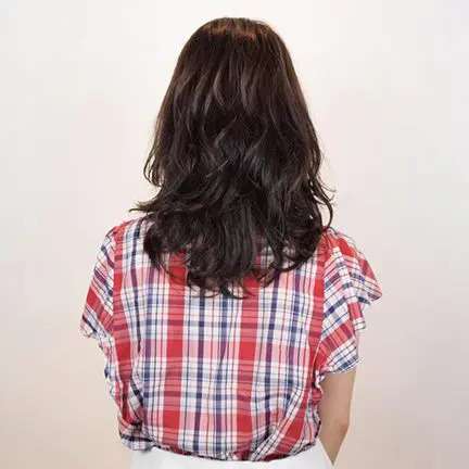 フレンチセミディ